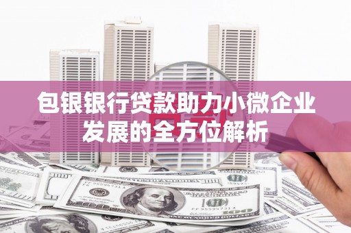 宾阳包银银行贷款助力小微企业发展的全方位解析
