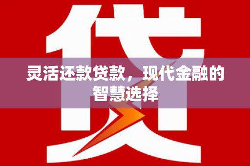 宾阳灵活还款贷款，现代金融的智慧选择