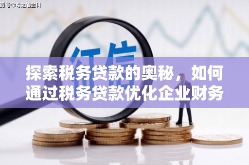 宾阳探索税务贷款的奥秘，如何通过税务贷款优化企业财务