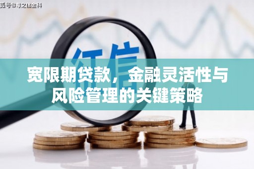 宾阳宽限期贷款，金融灵活性与风险管理的关键策略