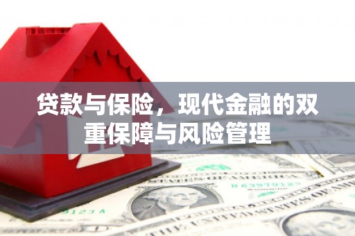 宾阳贷款与保险，现代金融的双重保障与风险管理