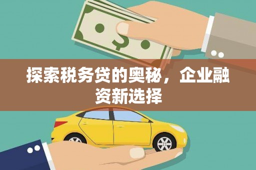宾阳探索税务贷的奥秘，企业融资新选择
