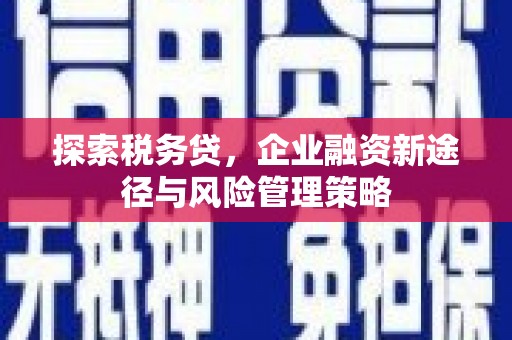 宾阳探索税务贷，企业融资新途径与风险管理策略
