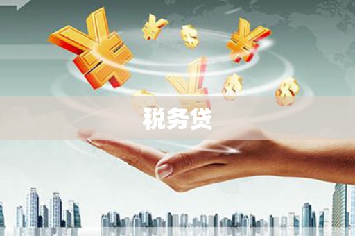 宾阳税务贷