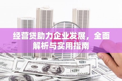 宾阳经营贷助力企业发展，全面解析与实用指南