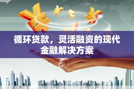 宾阳循环贷款，灵活融资的现代金融解决方案