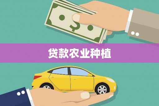 宾阳贷款农业种植