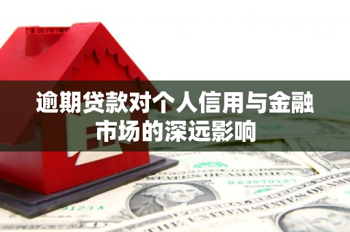宾阳逾期贷款对个人信用与金融市场的深远影响