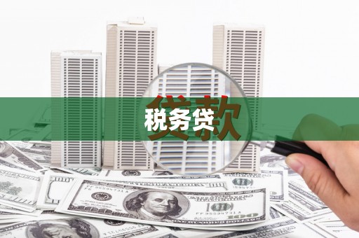 宾阳税务贷