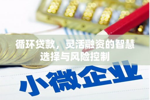 宾阳循环贷款，灵活融资的智慧选择与风险控制