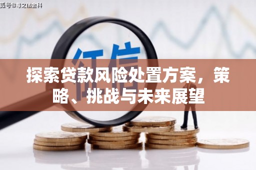 宾阳探索贷款风险处置方案，策略、挑战与未来展望