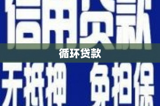 宾阳循环贷款