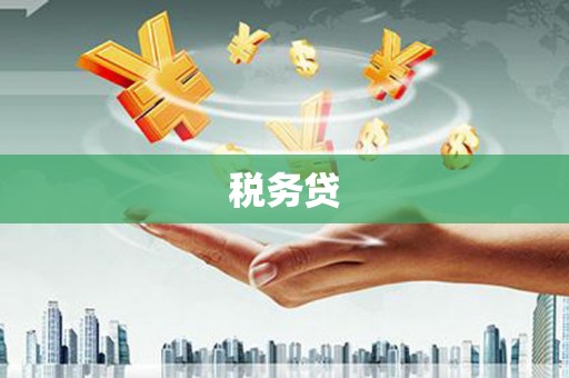 宾阳税务贷