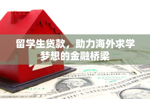 宾阳留学生贷款，助力海外求学梦想的金融桥梁