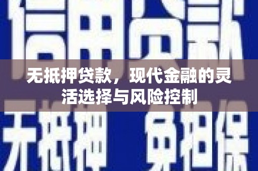 宾阳无抵押贷款，现代金融的灵活选择与风险控制