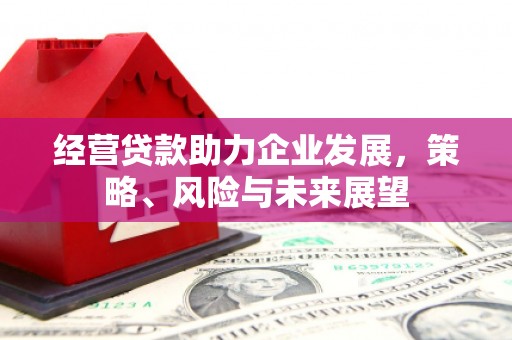 宾阳经营贷款助力企业发展，策略、风险与未来展望