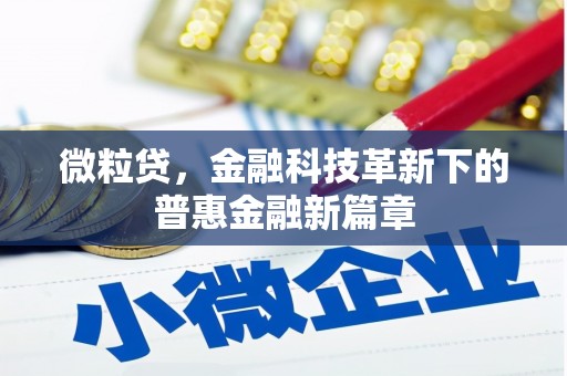 宾阳微粒贷，金融科技革新下的普惠金融新篇章
