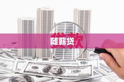 宾阳随薪贷
