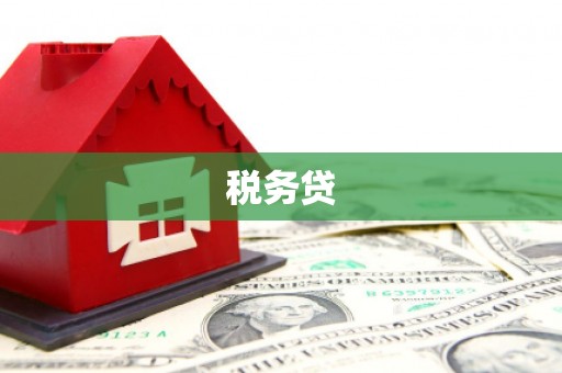 宾阳税务贷