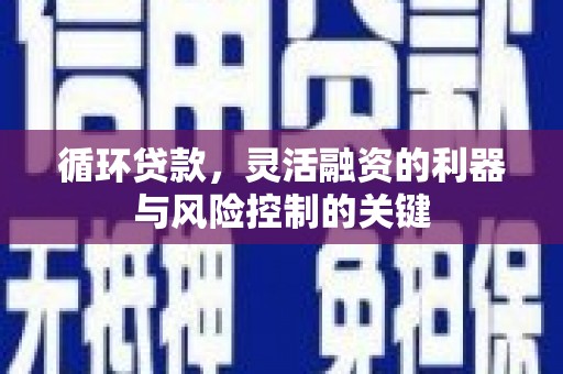 宾阳循环贷款，灵活融资的利器与风险控制的关键