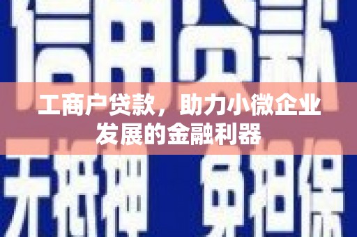 宾阳工商户贷款，助力小微企业发展的金融利器