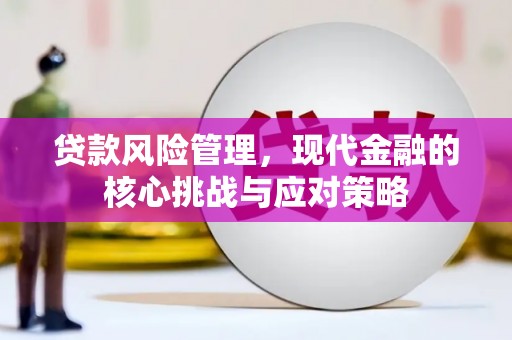 宾阳贷款风险管理，现代金融的核心挑战与应对策略