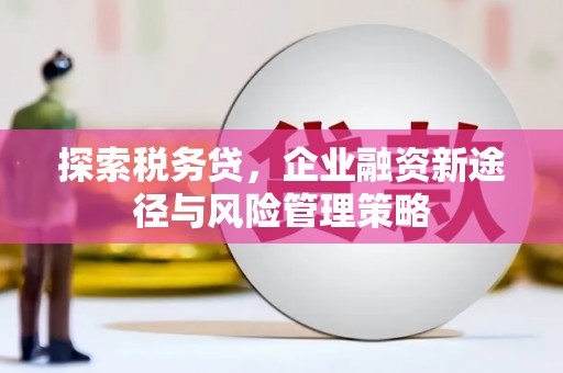 宾阳探索税务贷，企业融资新途径与风险管理策略