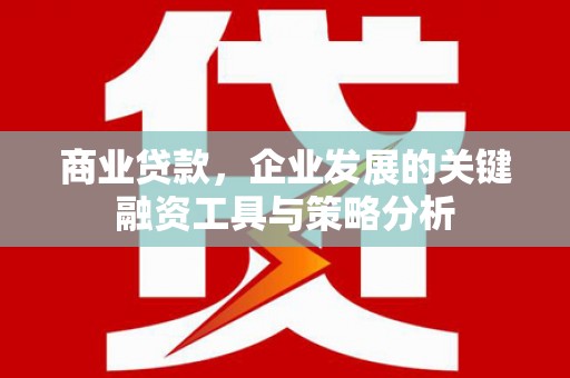 宾阳商业贷款，企业发展的关键融资工具与策略分析