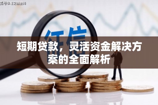 宾阳短期贷款，灵活资金解决方案的全面解析