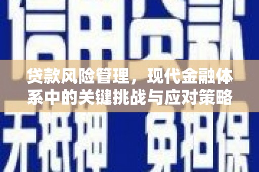 宾阳贷款风险管理，现代金融体系中的关键挑战与应对策略