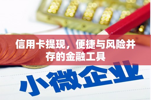 宾阳信用卡提现，便捷与风险并存的金融工具