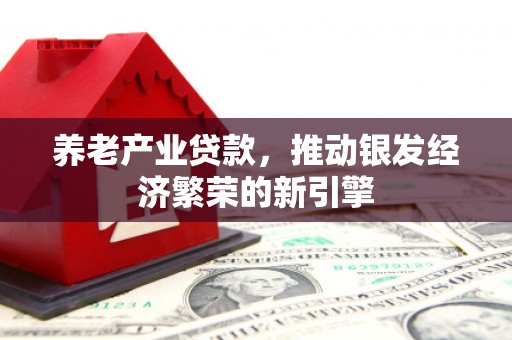 宾阳养老产业贷款，推动银发经济繁荣的新引擎