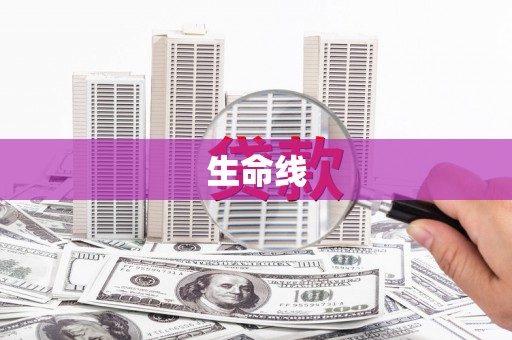 宾阳生命线