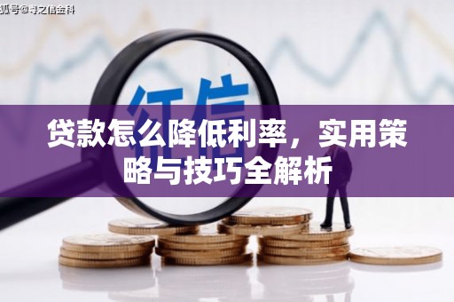 宾阳贷款怎么降低利率，实用策略与技巧全解析