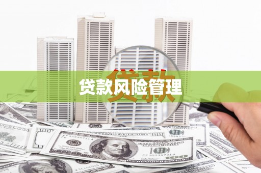 宾阳贷款风险管理