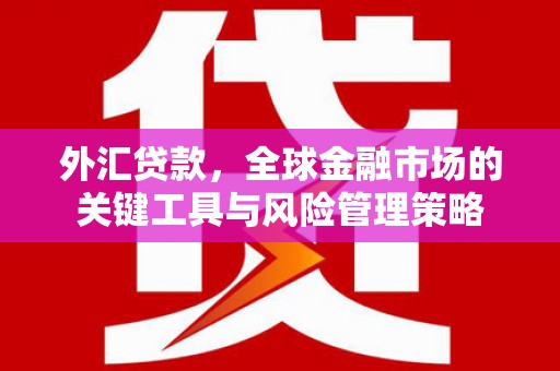 宾阳外汇贷款，全球金融市场的关键工具与风险管理策略