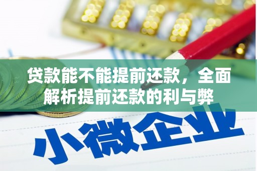 宾阳贷款能不能提前还款，全面解析提前还款的利与弊