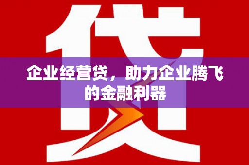 宾阳企业经营贷，助力企业腾飞的金融利器