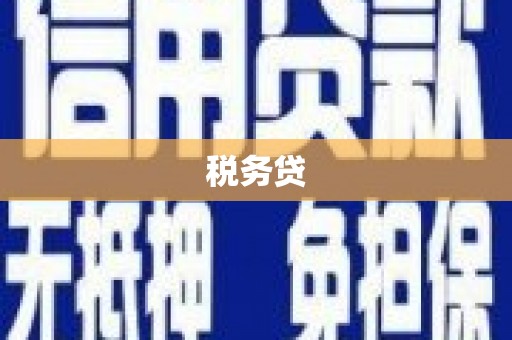 宾阳税务贷
