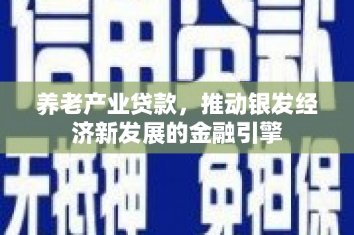 宾阳养老产业贷款，推动银发经济新发展的金融引擎