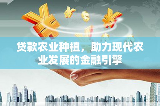 宾阳贷款农业种植，助力现代农业发展的金融引擎