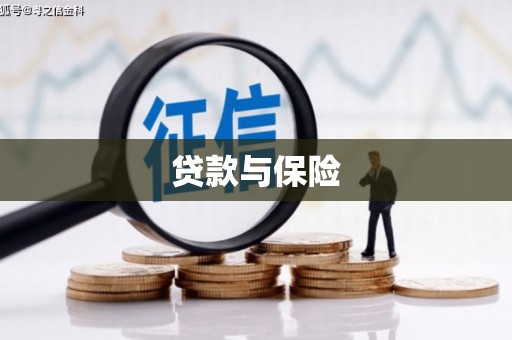 宾阳贷款与保险