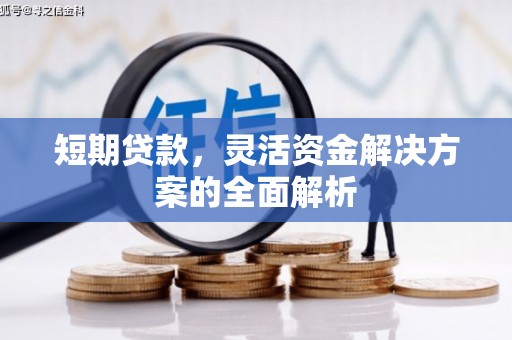 宾阳短期贷款，灵活资金解决方案的全面解析