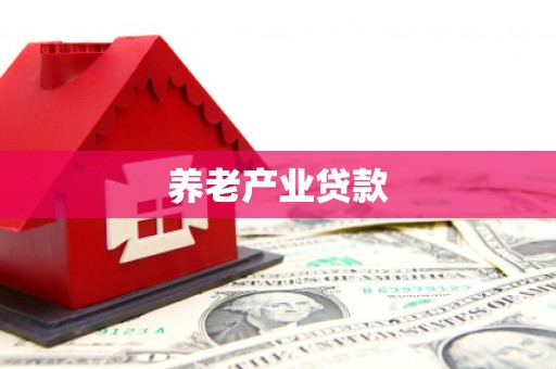 宾阳养老产业贷款