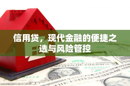 宾阳信用贷，现代金融的便捷之选与风险管控