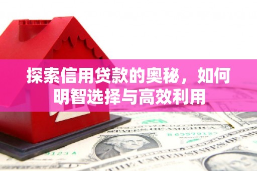 宾阳探索信用贷款的奥秘，如何明智选择与高效利用