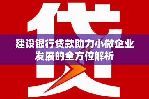 宾阳建设银行贷款助力小微企业发展的全方位解析