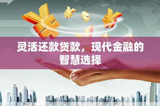 宾阳灵活还款贷款，现代金融的智慧选择