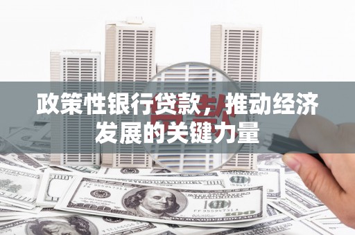 宾阳政策性银行贷款，推动经济发展的关键力量