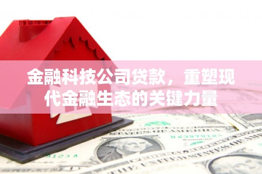 宾阳金融科技公司贷款，重塑现代金融生态的关键力量